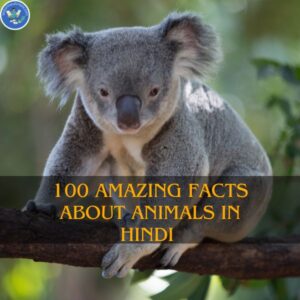 a panda sitting on a branch of a tree with tex reading 100 amazing facts about animals in hindi